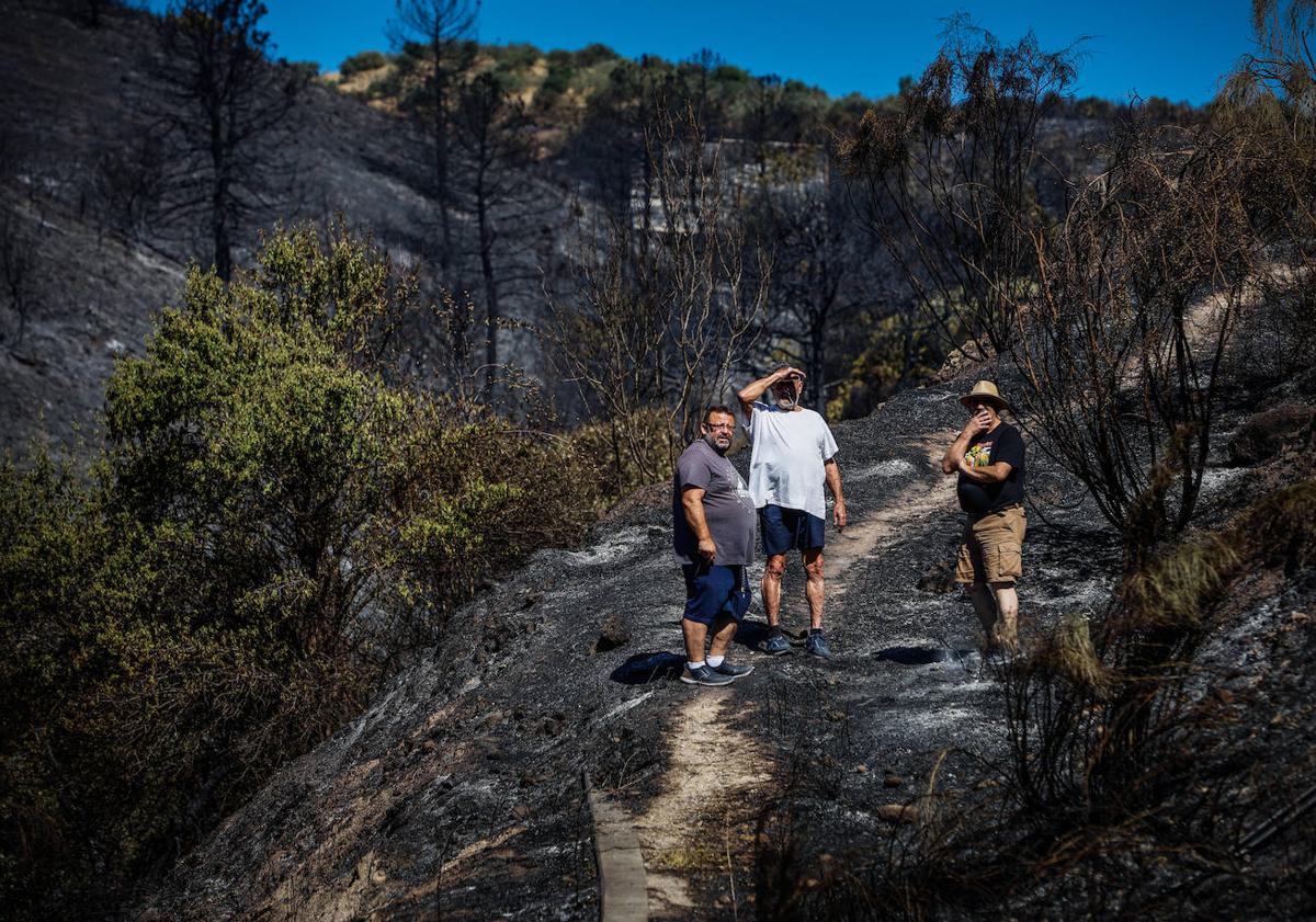 Imagen principal - En la primera imagen, vecinos observando el terreno. En la segunda, Raimundo mirando un monolito quemado en el Bosque de la Poesía. En la última, el fuego el sábado por la noche.