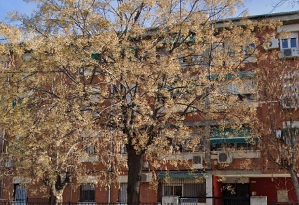 La Junta inicia en agosto las obras de accesibilidad de 15 viviendas públicas en alquiler en Granada