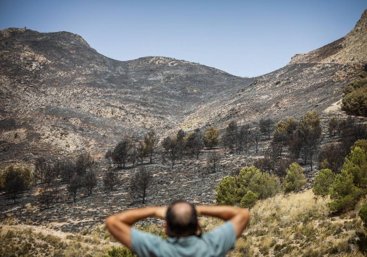 Estado en el que quedó el monte tras el primer incendio declarado en Pinos Puente.