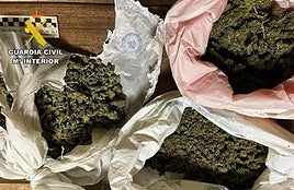 La marihuana incautada.