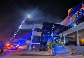 Los Bomberos de Granada, durante las tareas de extinción del primer incendio.