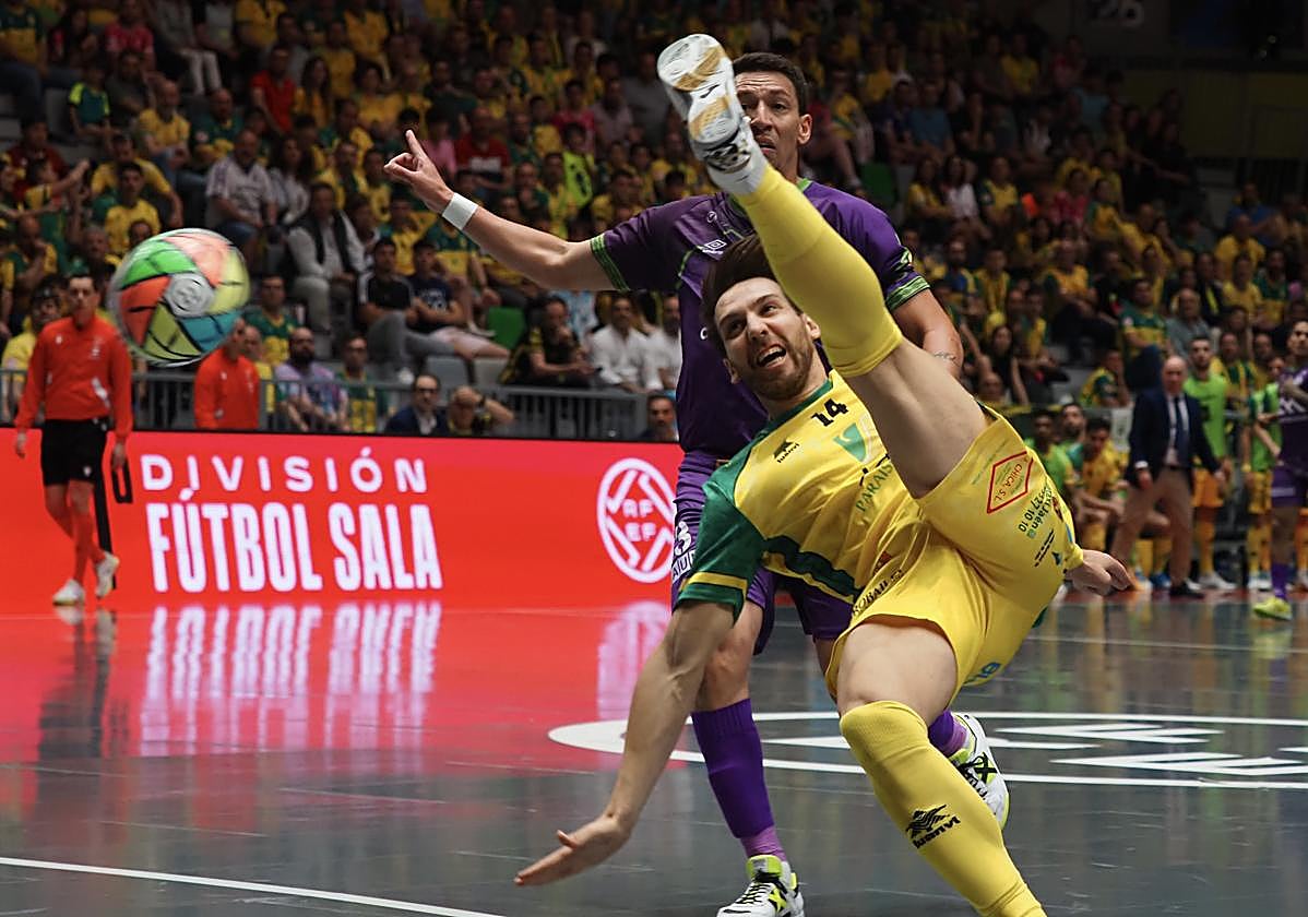 El argentino Alan Brandi seguirá siendo uno de los buques insignia del conjunto amarillo