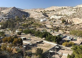 La EEZA asegura que indicó al Ayuntamiento de Almería cómo debía pedir las necropsias al CSIC