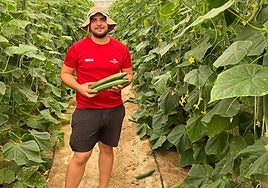 «La media de edad del sector es bastante elevado, van a faltar muchos productores en los próximos años»