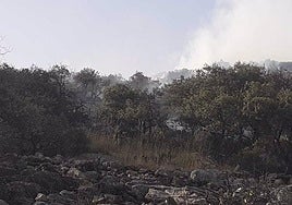 Imagen de la zona incendiada en Iznalloz.
