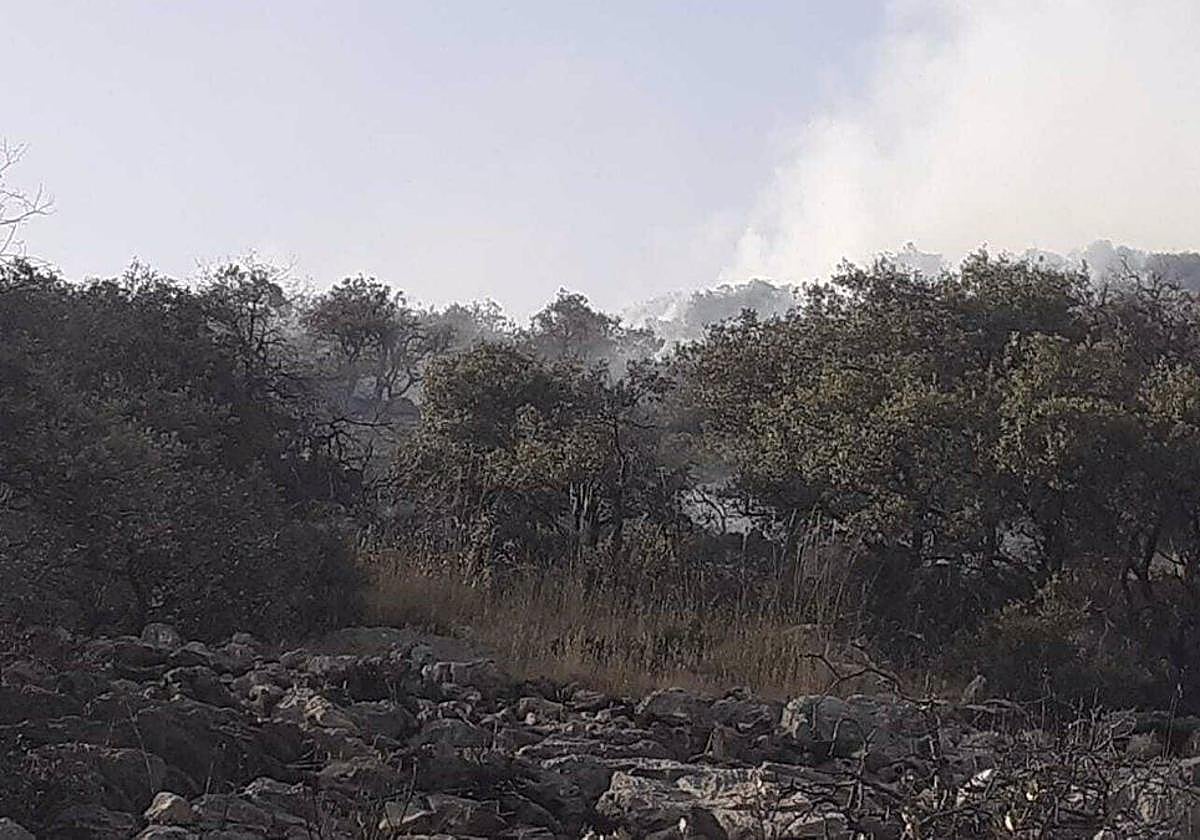 Imagen de la zona incendiada en Iznalloz.