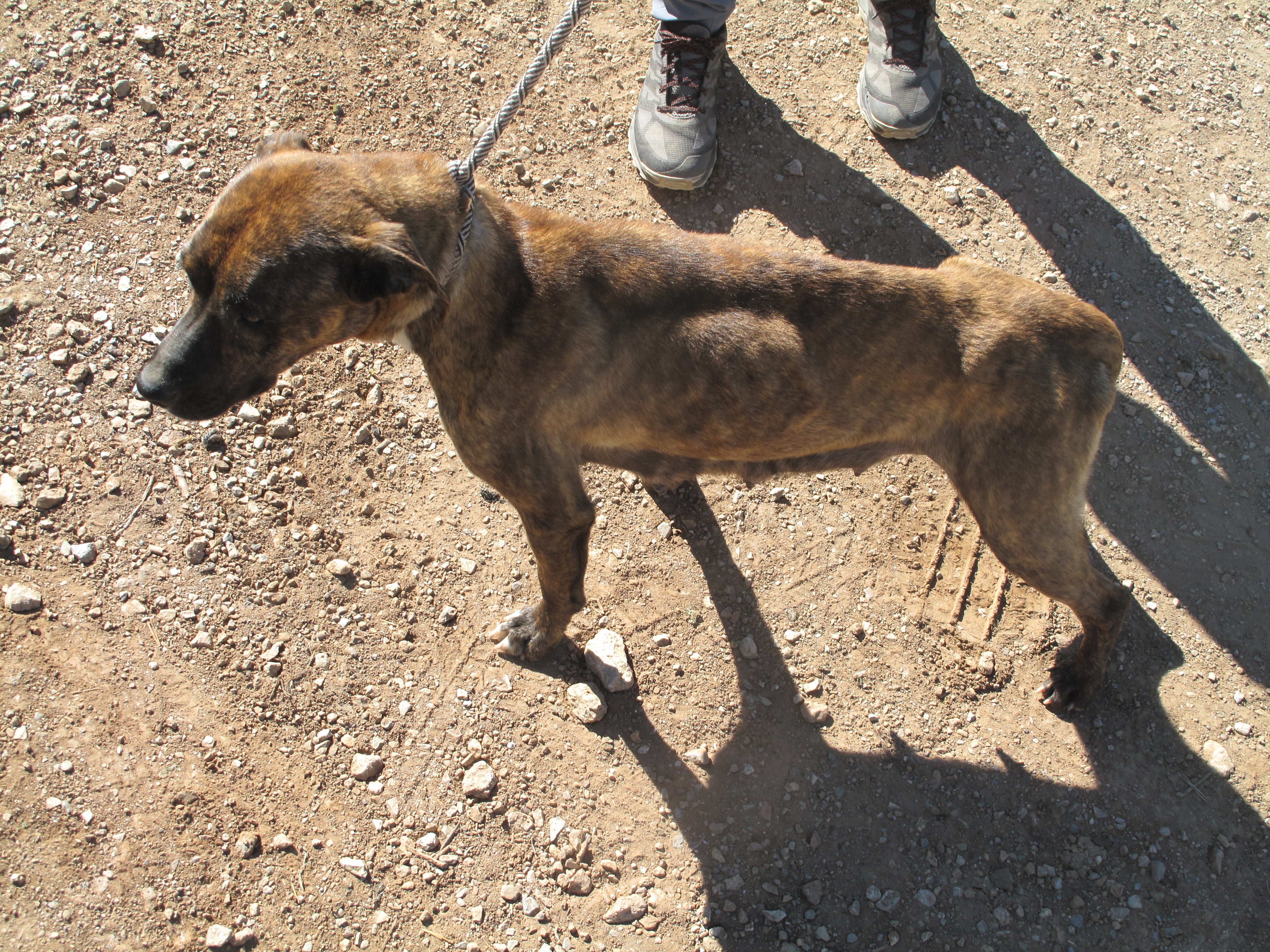 La madre, muy delgada cuando fue encontrada.