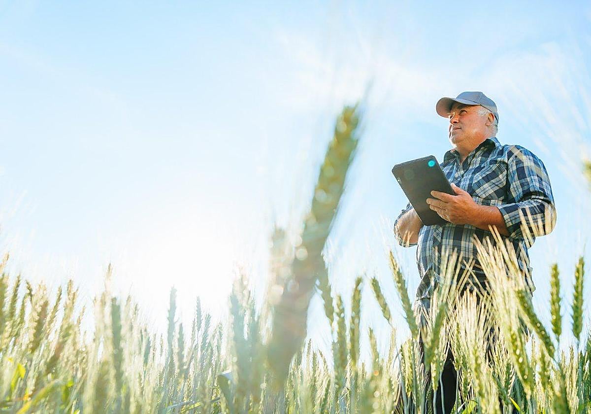 Más de 80 explotaciones agrarias de Almería avanzan en digitalización y sostenibilidad con el programa 'Crece Andalucía'