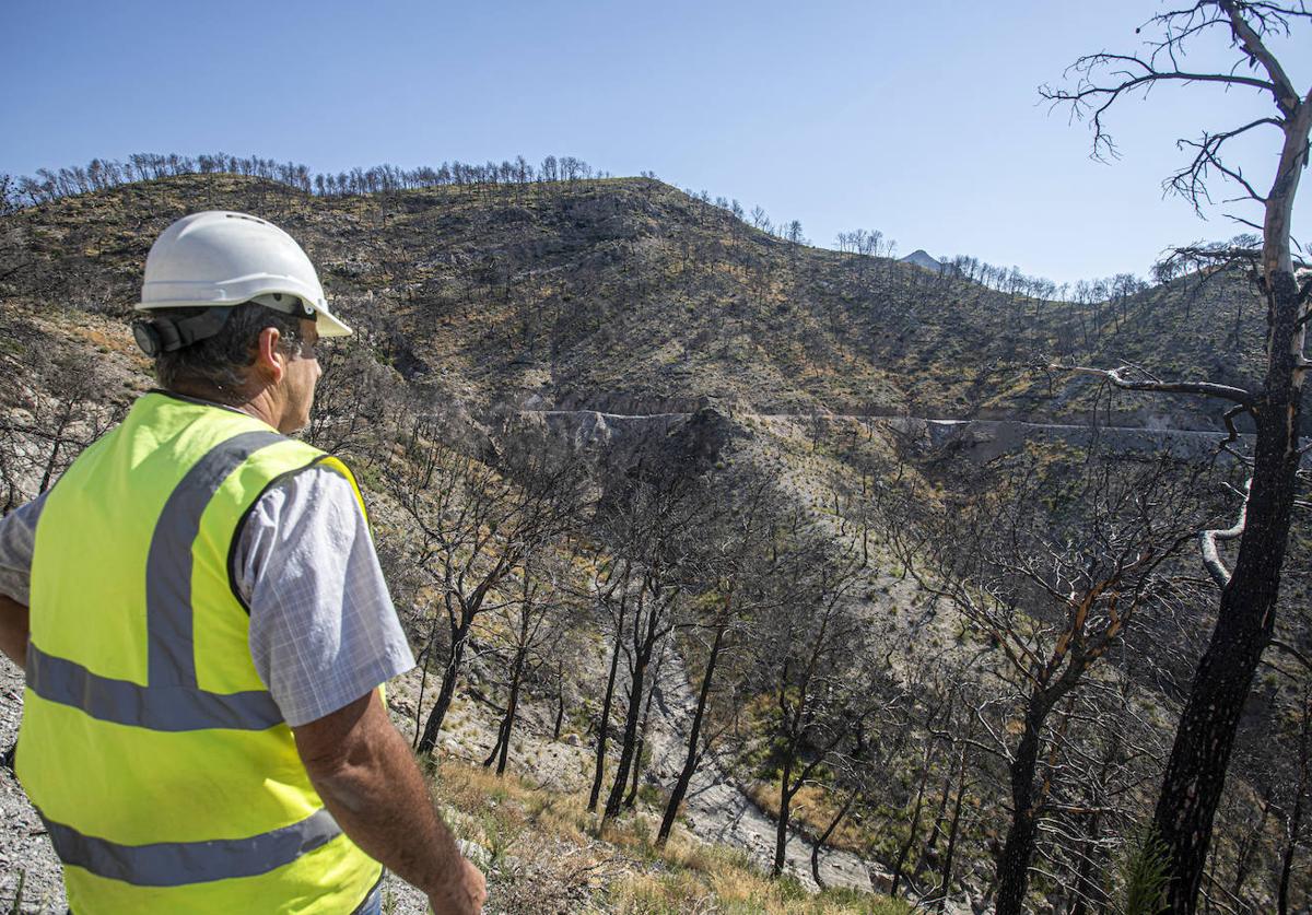 Efectos del fuego en la Sierra de Los Guajáres.