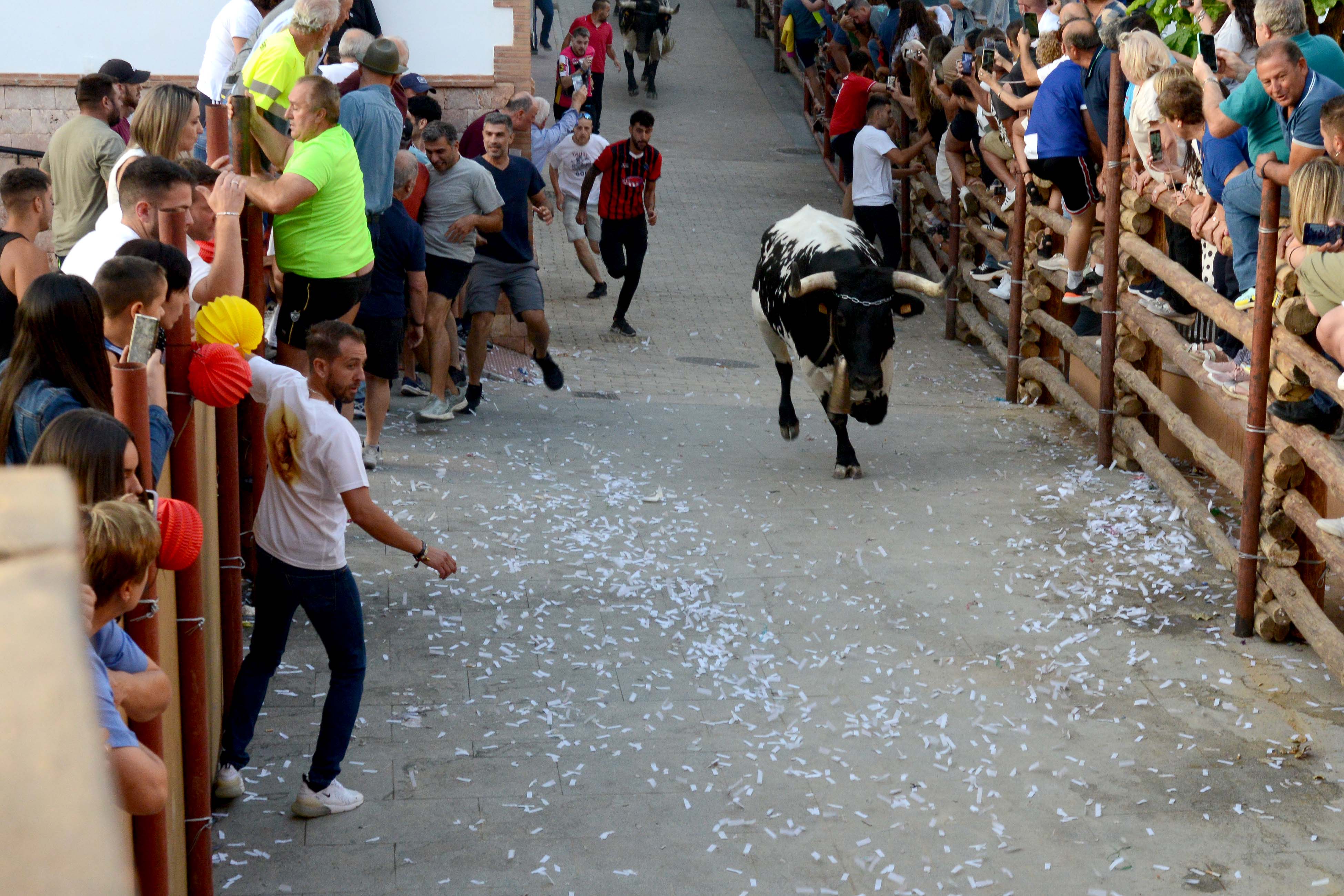 Las imágenes de los encierros más famosos de Granada