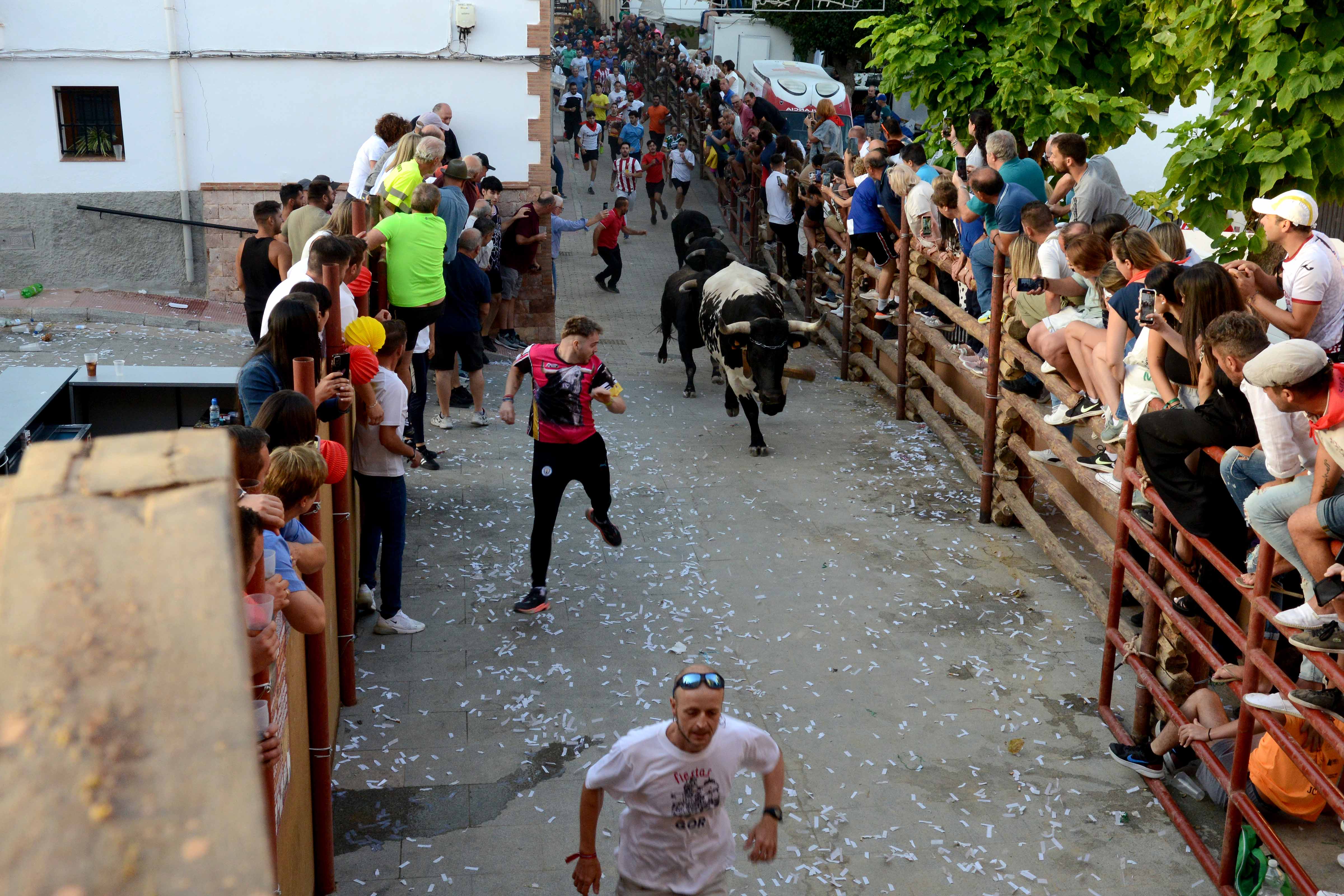Las imágenes de los encierros más famosos de Granada