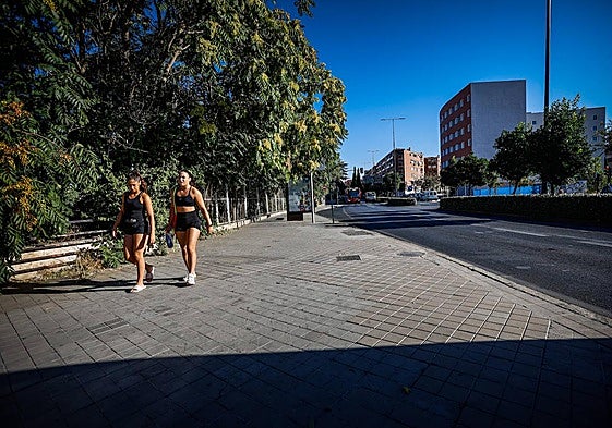 Zona de Camino de Ronda para la que se pide una reforma integral.