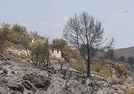 Infoca en el incendio de Almuñécar.