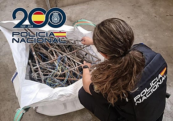 Una agente de la Policía Nacional examina el material intervenido.