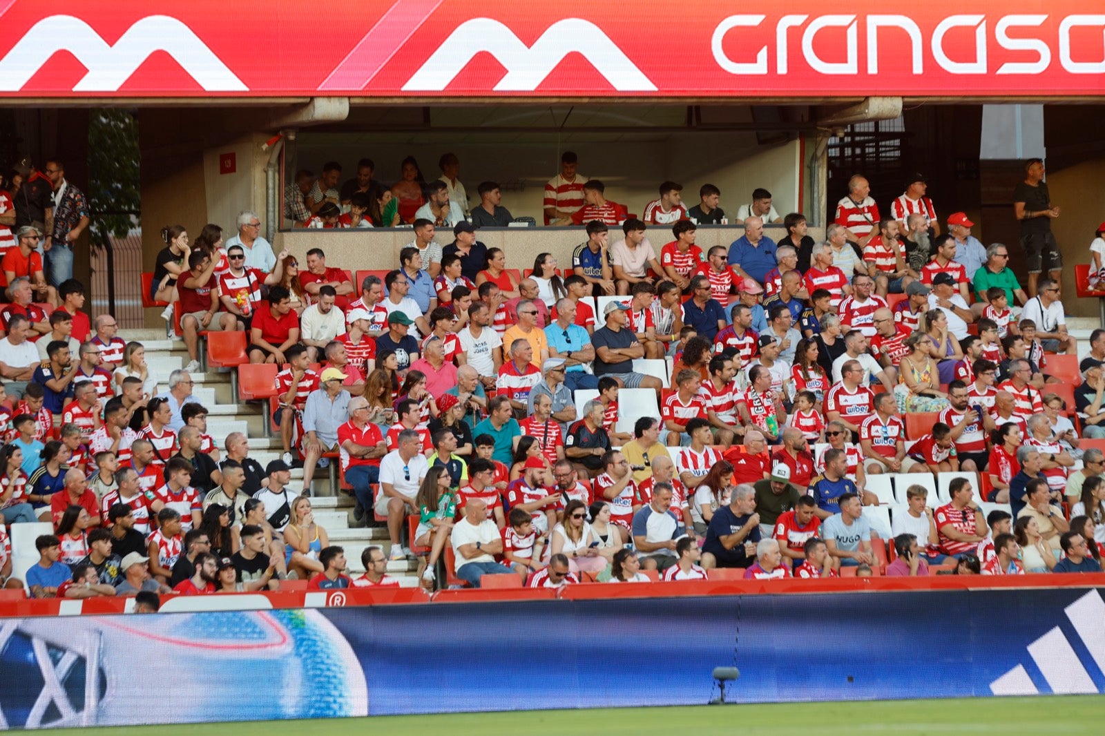 Encuéntrate en la grada durante el Granada-Albacete