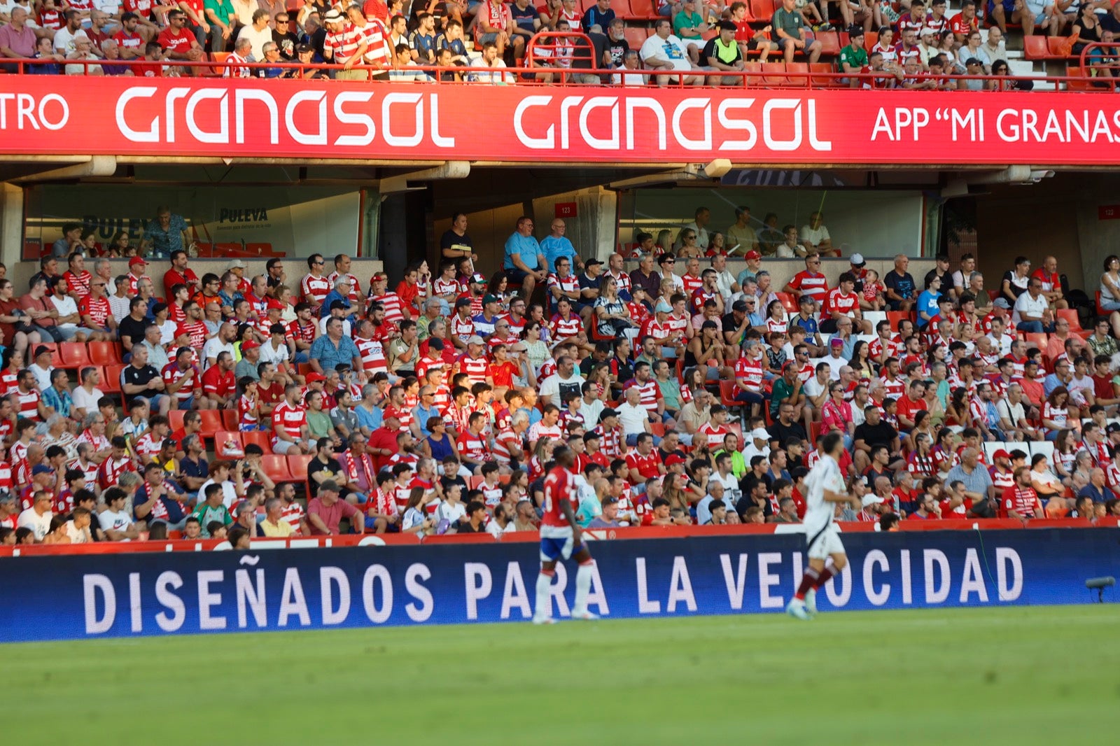 Encuéntrate en la grada durante el Granada-Albacete