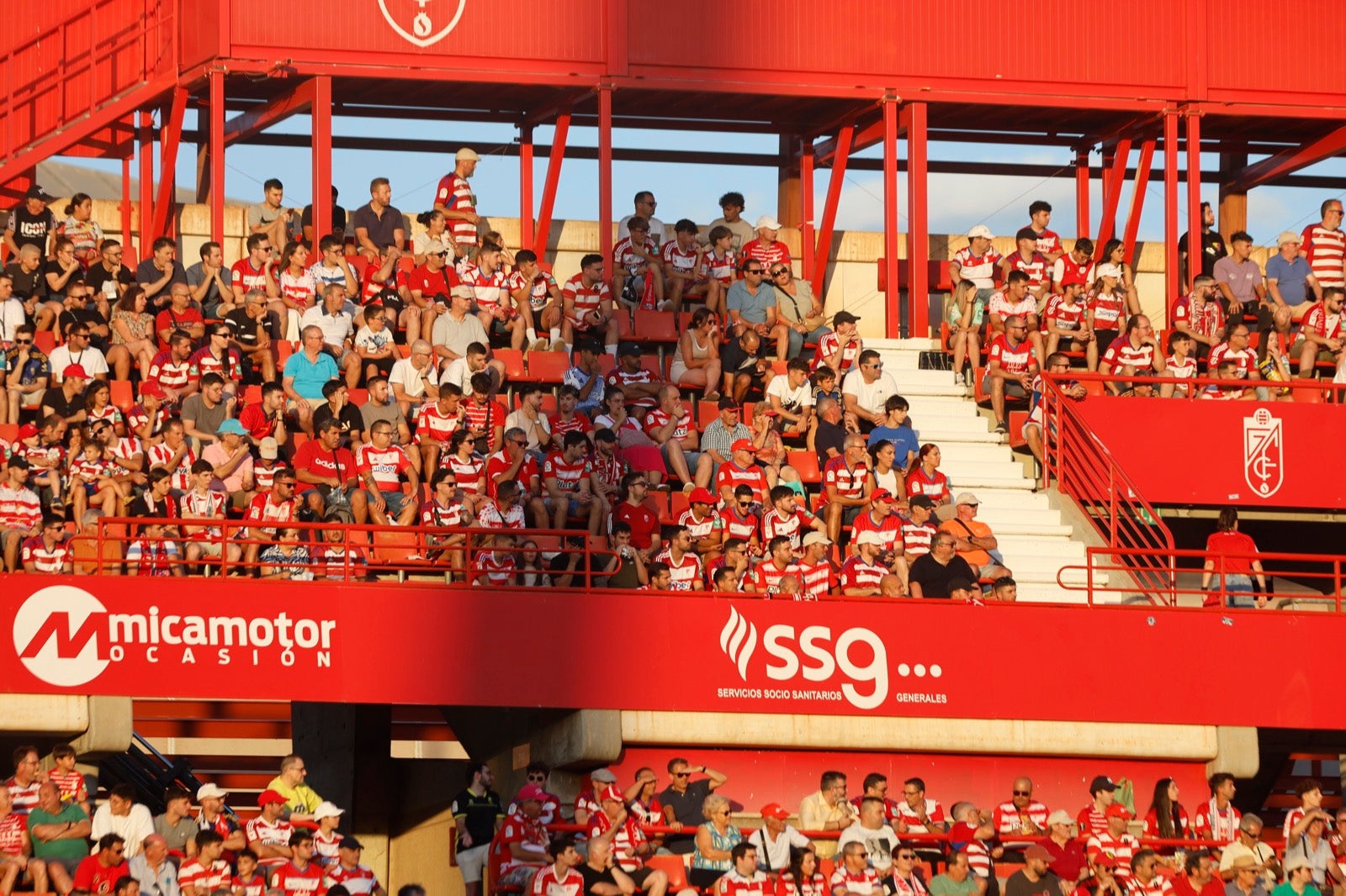 Encuéntrate en la grada durante el Granada-Albacete