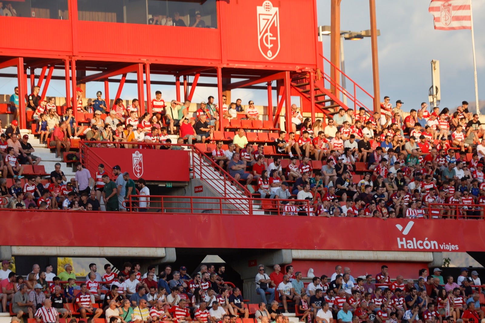 Encuéntrate en la grada durante el Granada-Albacete