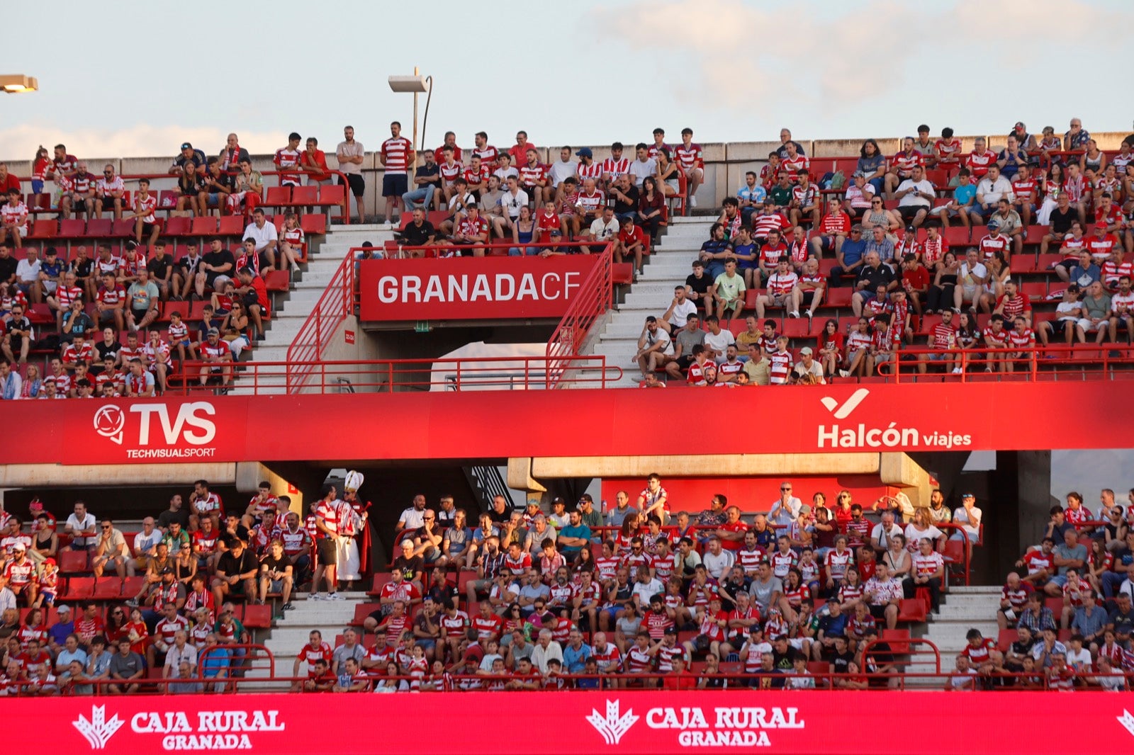 Encuéntrate en la grada durante el Granada-Albacete
