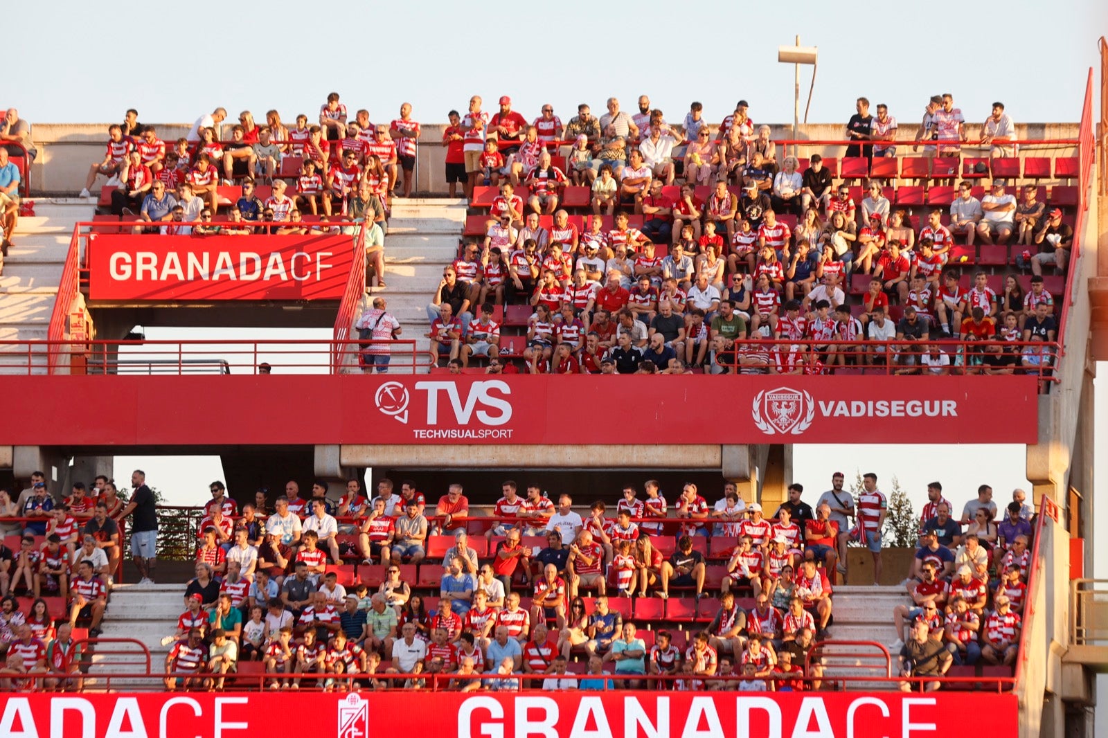 Encuéntrate en la grada durante el Granada-Albacete
