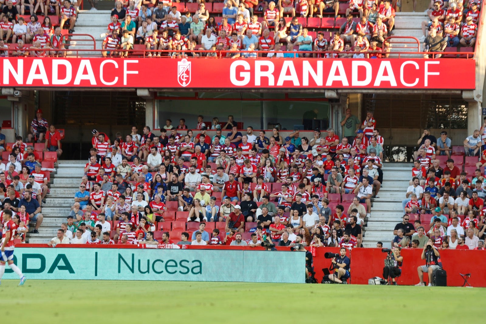 Encuéntrate en la grada durante el Granada-Albacete