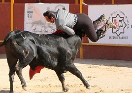 Cogida a Curro Ortiz en la plaza de Güéjar Sierra