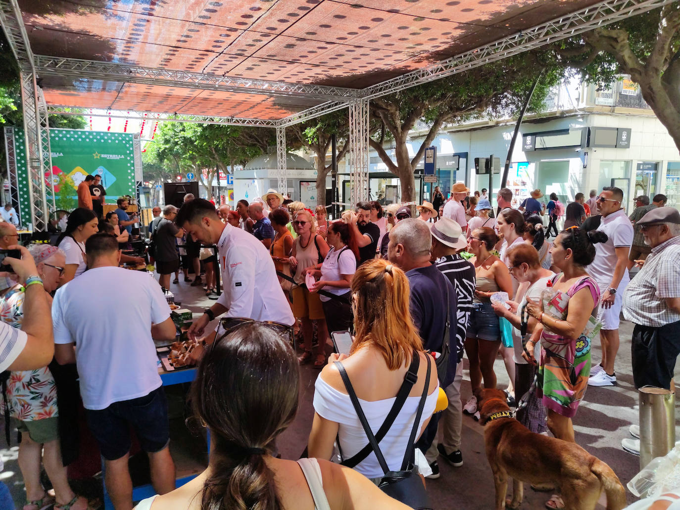 Fotos: Así ha sido la primera fase del Concurso Gastronómico de Almería