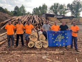 Granada logra la normalización del chopo en España y Europa como madera para edificar