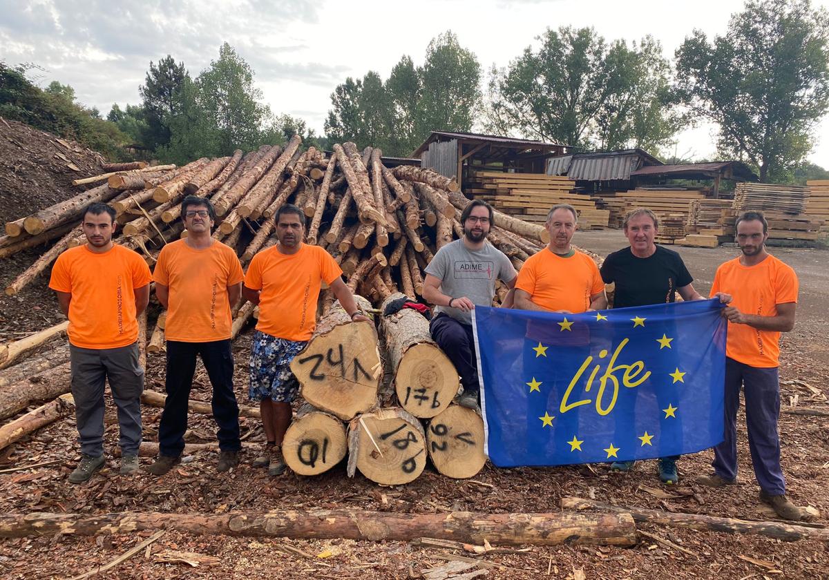 Granada logra la normalización del chopo en España y Europa como madera para edificar