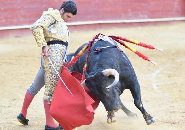 Detalloso trincherazo de Morante al toro al que le cortó una oreja.