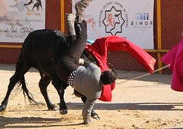 Cogida a Curro Ortiz