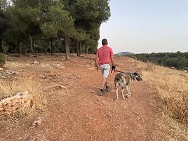 Un hombre pasea a su perra sujeta por una correa en un pinar de Monachil, en el Parque Natural de Sierra Nevada.