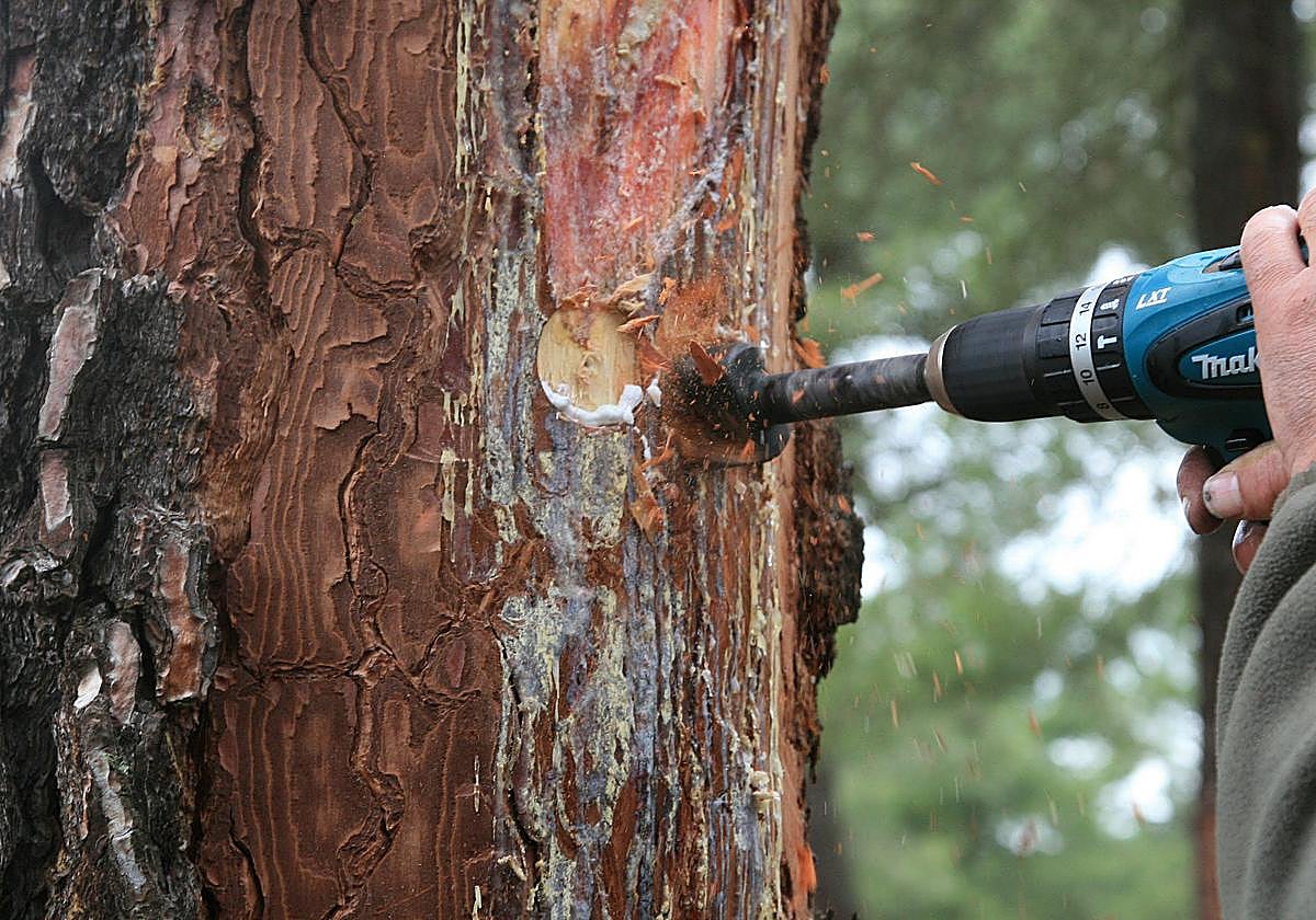 Una persona utiliza un taladro.
