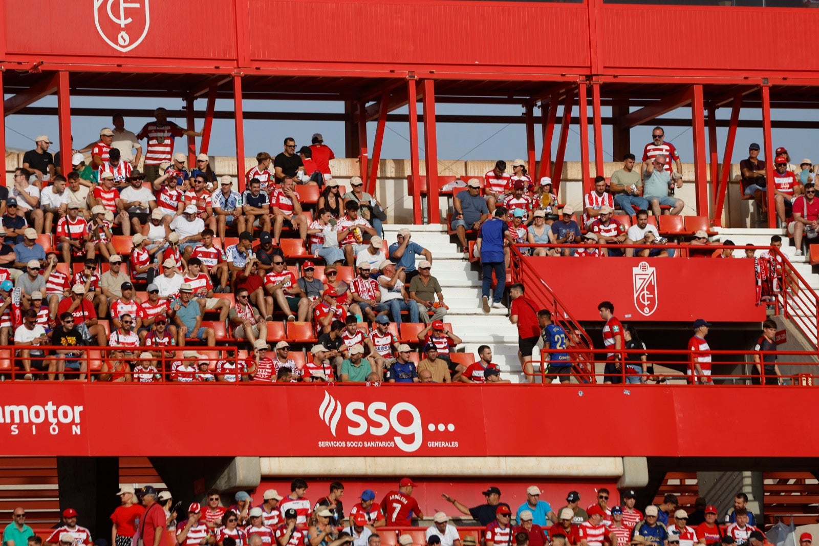 ¿Has ido a animar al Granada a Los Cármenes? Búscate en la grada