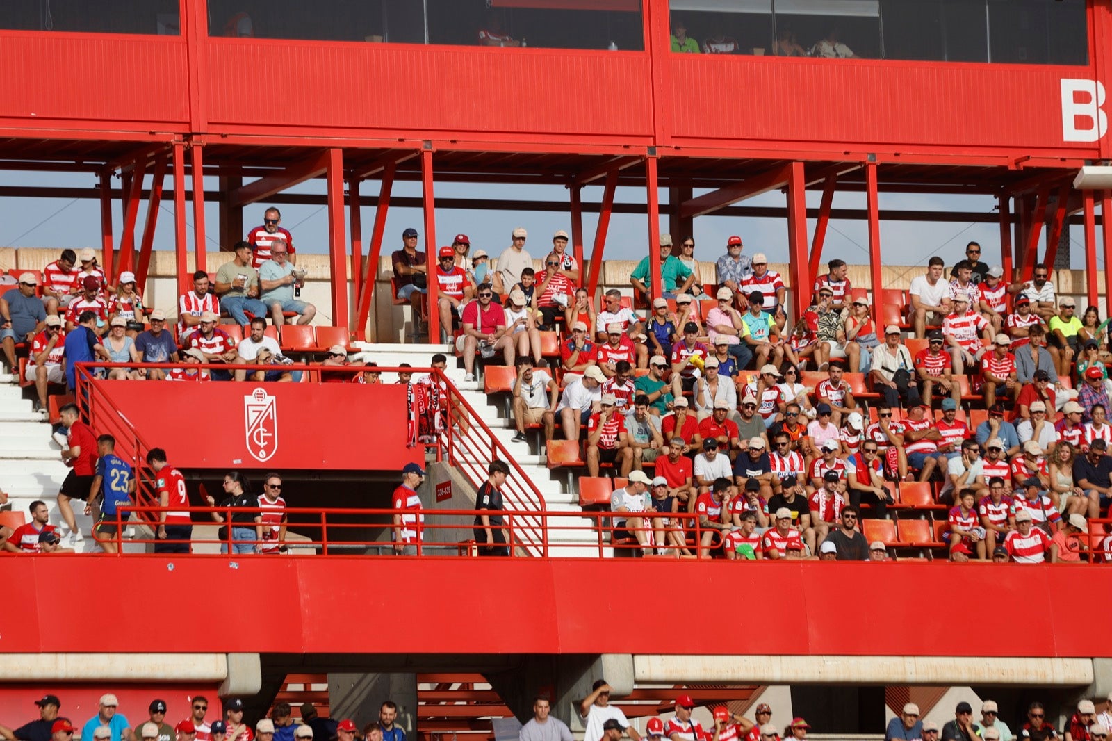 ¿Has ido a animar al Granada a Los Cármenes? Búscate en la grada