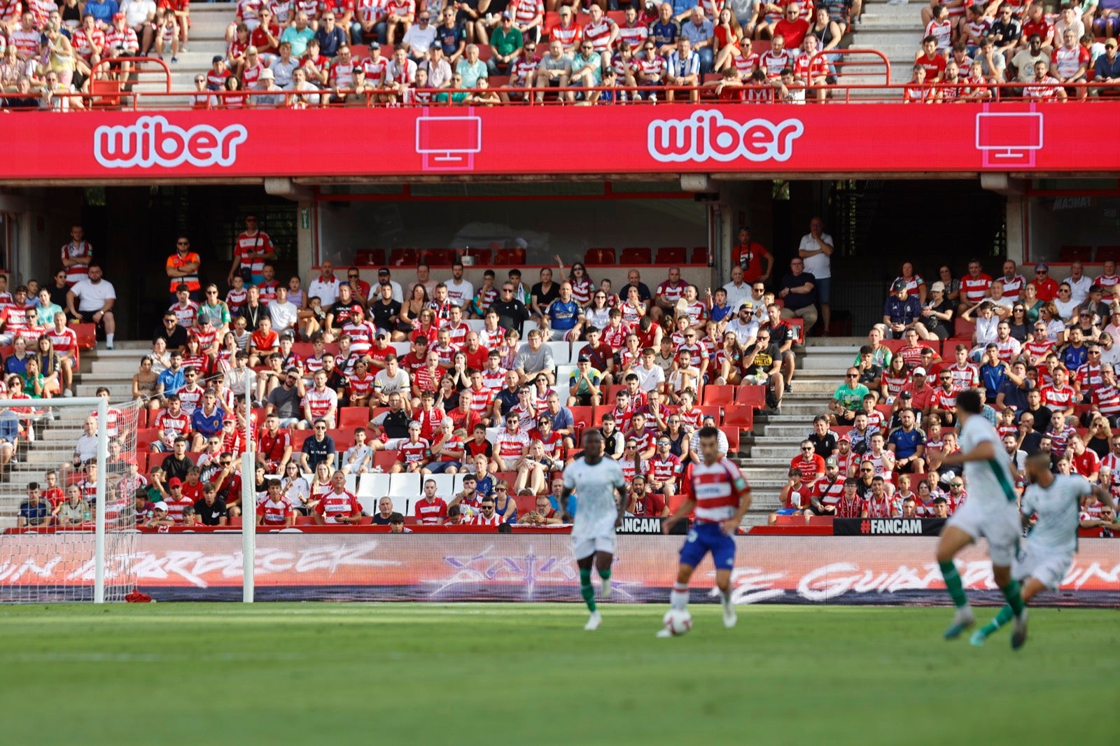 ¿Has ido a animar al Granada a Los Cármenes? Búscate en la grada