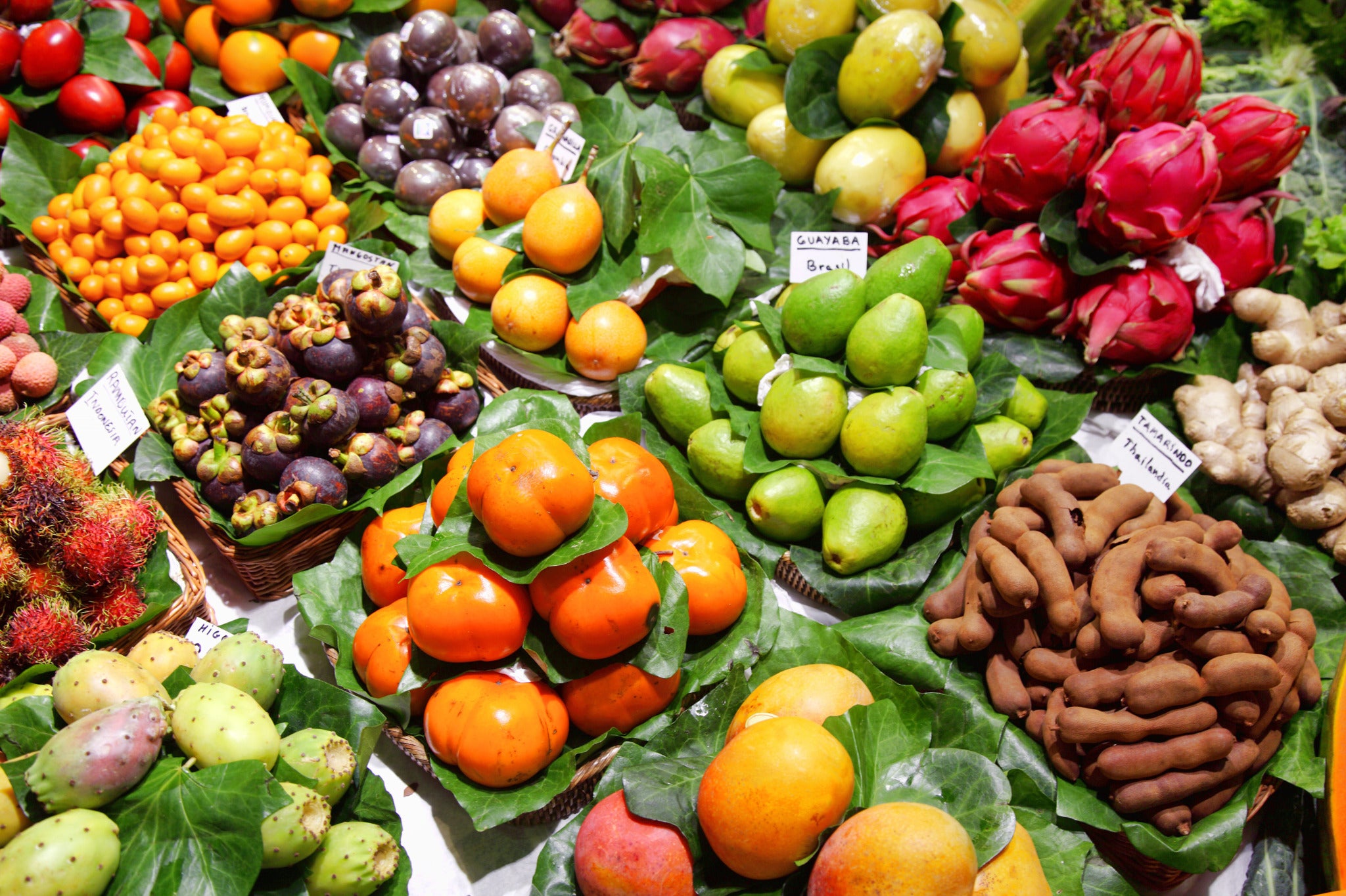 Nace el Grupo Operativo GOexotika para impulsar el cultivo de frutas exóticas en Andalucía