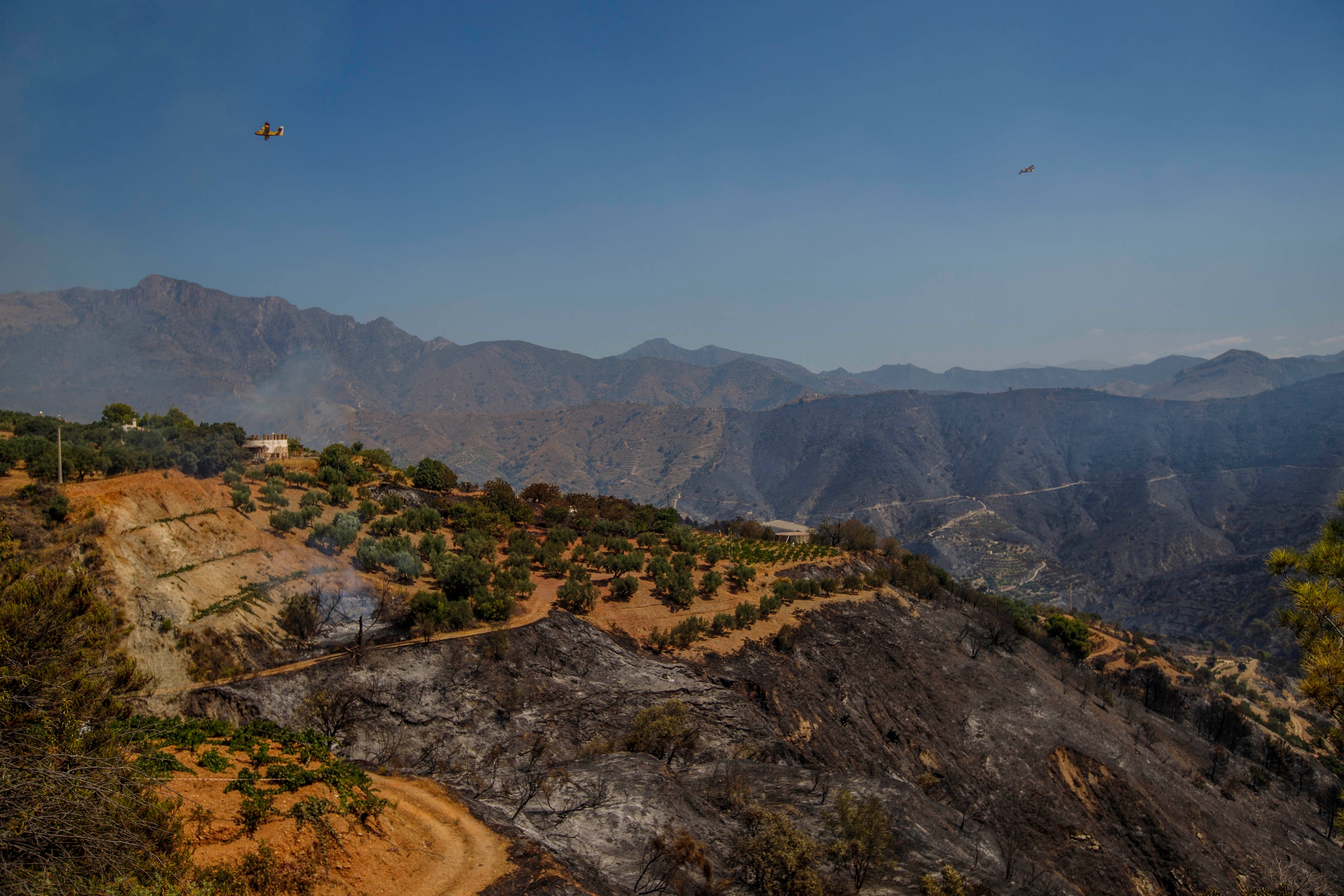 Incendio del pasado 13 de agosto en Peña Escrita en La Herradura.