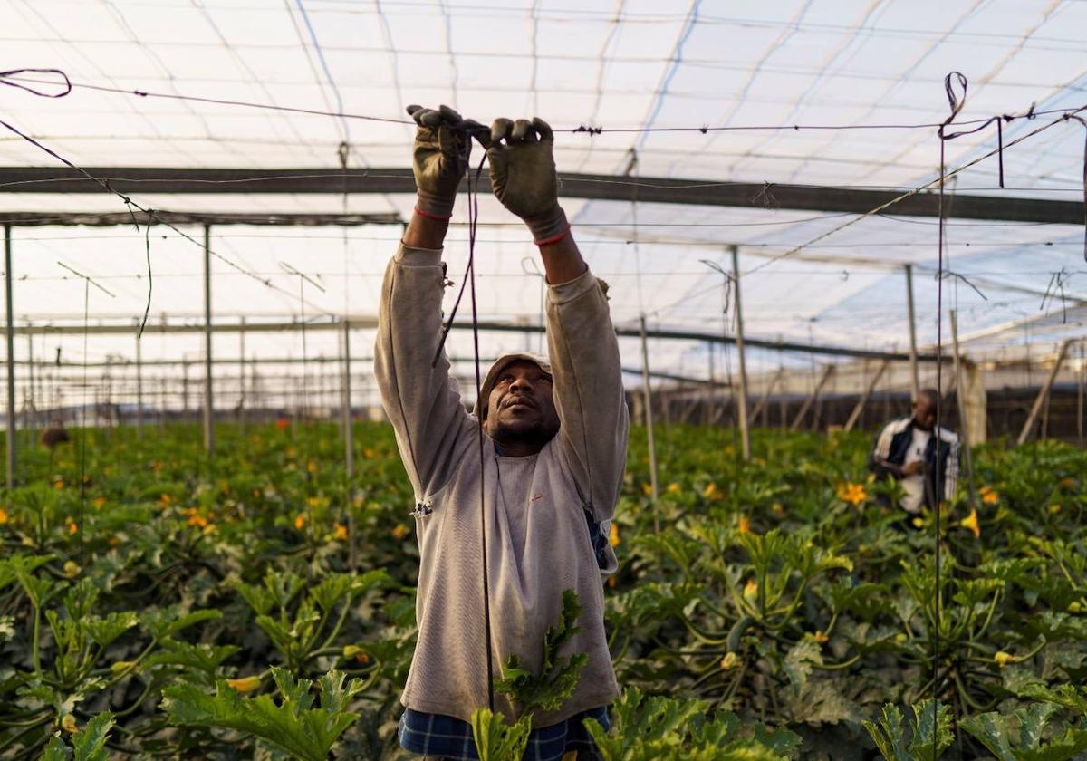 COAG abre el debate sobre la bajada de la edad de jubilación en el sector agrícola