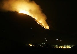 Incendio en Lanjarón en 2005.