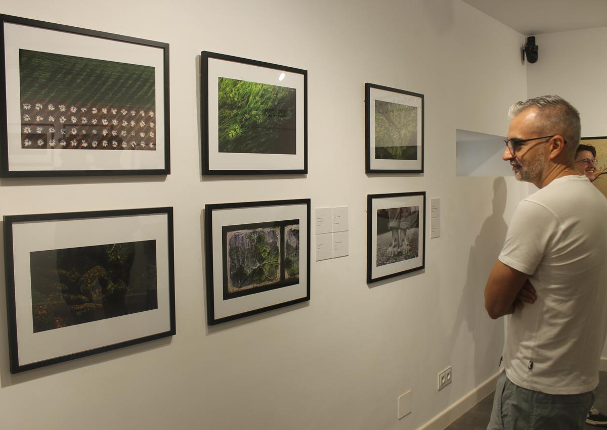 Imagen secundaria 1 - Arriba 'El Creata' con su obra 'We water again' y abajo el público contemplando las fotografías