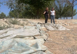 Las concejalas socialistas María del Carmen Angulo y Ángeles Díaz visitan el parque.