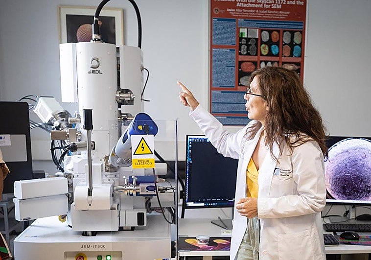 El nuevo microscopio de barrido de la UGR.