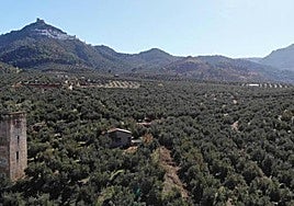 El pasado mes de mayo se retiró el expediente.