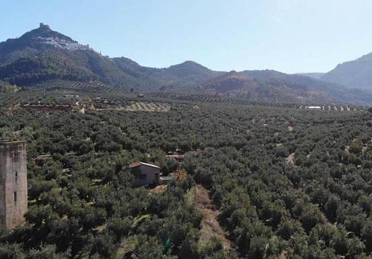 El pasado mes de mayo se retiró el expediente.