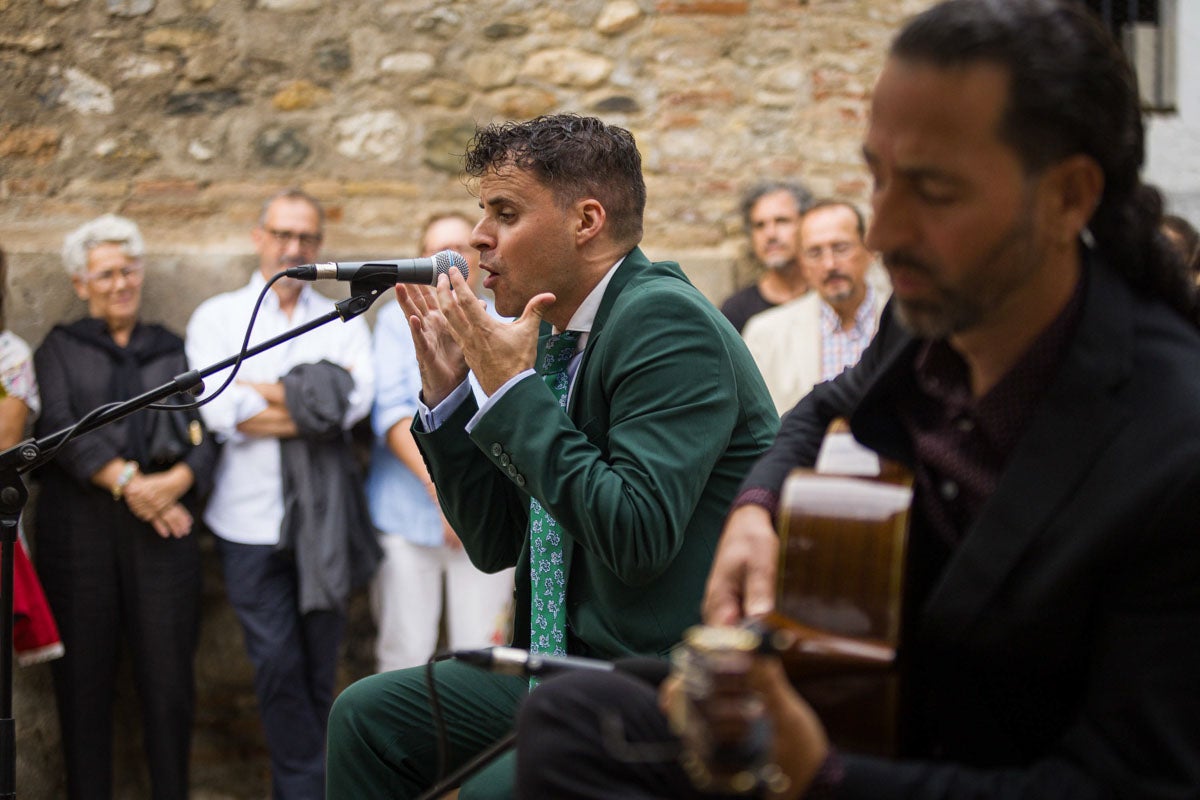 El flamenco albaicinero, en imágenes