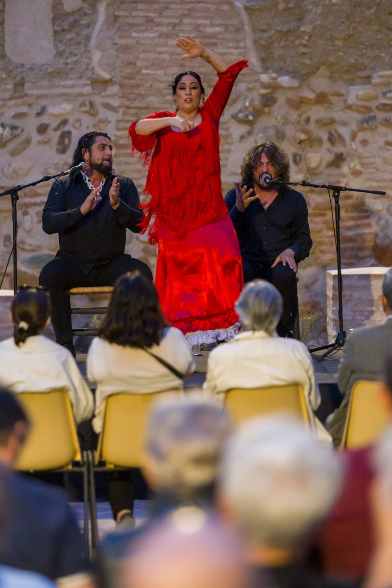 El flamenco albaicinero, en imágenes