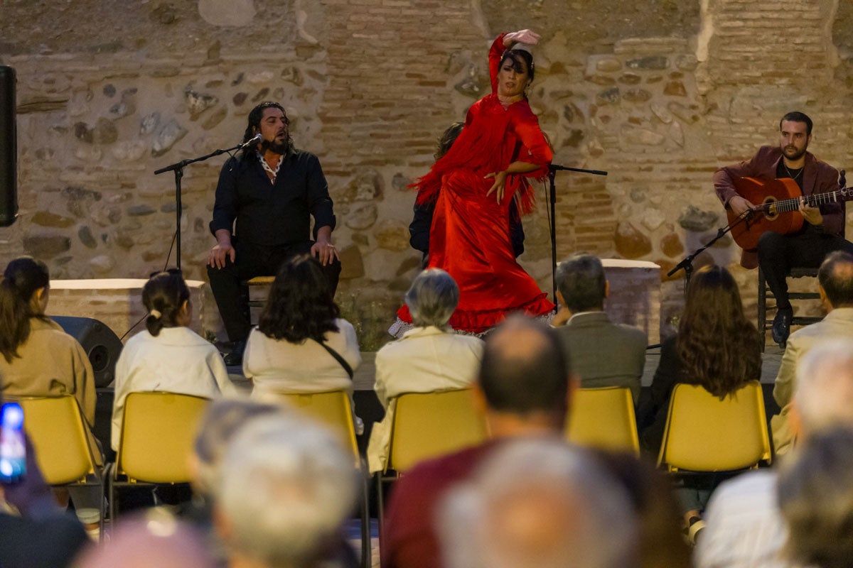 El flamenco albaicinero, en imágenes