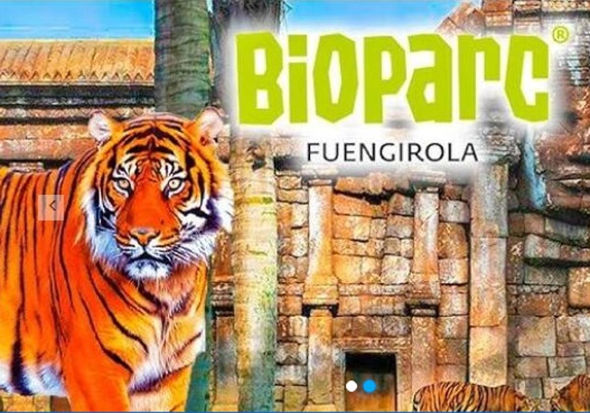 El zoo a una hora y media de Granada para disfrutar de un día en familia