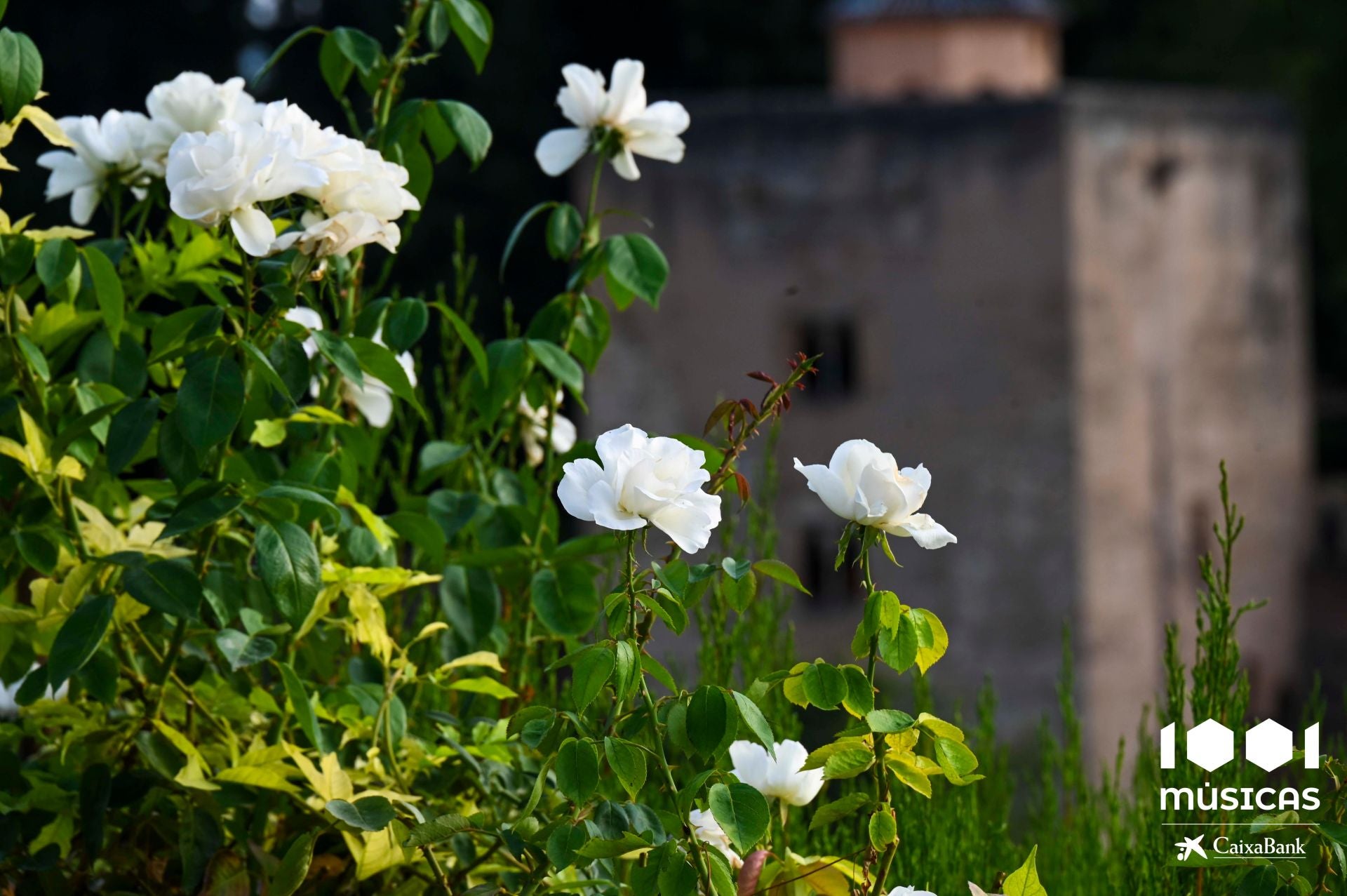 Las mejores imágenes del concierto de María José Llergó en el Generalife